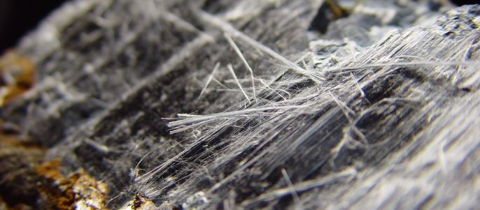 Darstellung einer mikroskopischen Aufnahme von Asbestfasern.