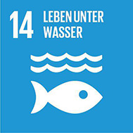 Das vierzehnte Ziel für Nachhaltige Entwicklung: Leben unter Wasser